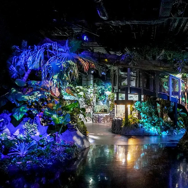 イーアス豊崎(かりゆし水族館)